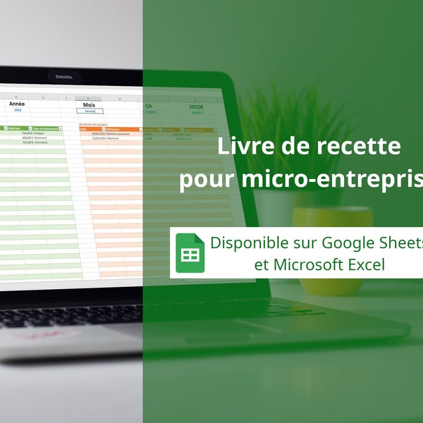 Livre de recettes et des dépenses pour micro-entreprise