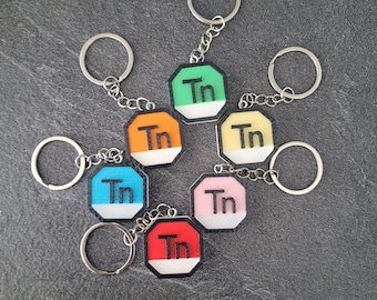 Tn Logo Keychain x2