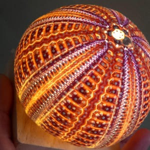 Lámpara de concha de erizo de mar / Luz nocturna costera hecha a mano