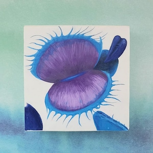May include: A close-up painting of a Venus flytrap with a purple interior and blue exterior. The trap is open and the edges are lined with sharp teeth.