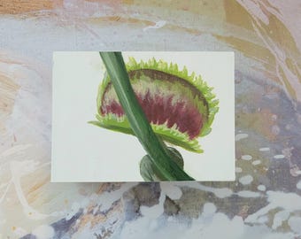 Peinture acrylique attrape-mouches de Vénus - oeuvre d'art traditionnelle originale, réalisée sur une toile en bois, 100 % fait main, plante carnivore