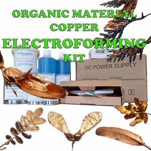 Könnte beinhalten: Organisches Material Kupfer-Elektroform-Kit mit einem DC-Netzteil, zwei Flaschen blauer Kupferelektrolyt, einem Behälter mit Bindemittel und einer Box mit Zubehör. Das Kit enthält mehrere kupferbeschichtete organische Materialien, darunter Blätter, eine Feder und einen Ahorn-Samen.