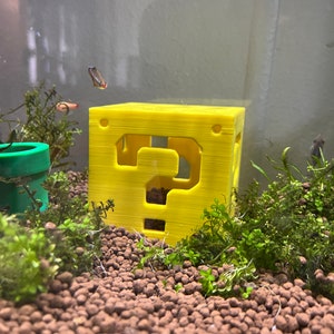 May include: A yellow, 3D-printed question mark block, a recognizable element from a popular video game, is placed in an aquarium. The aquarium also contains aquatic plants, gravel, and small fish. A green pipe is visible in the background.