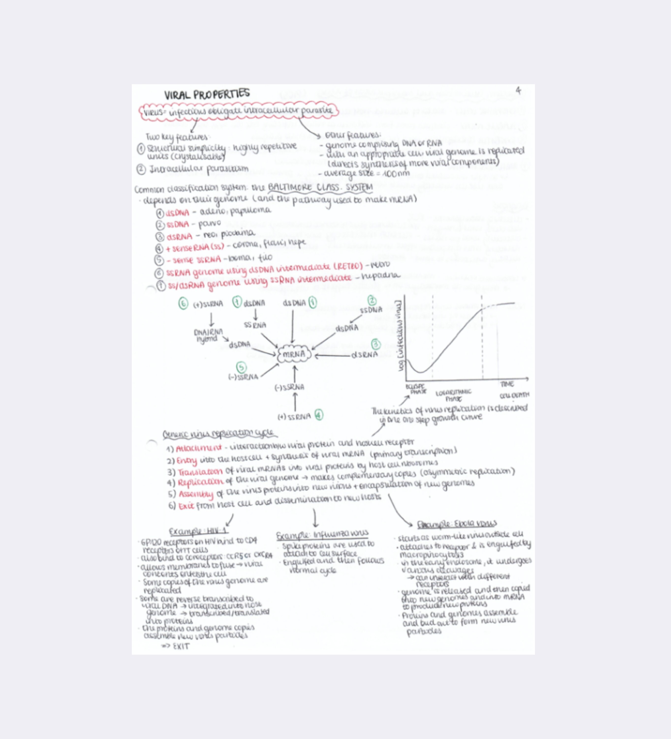 Microbiology Basics Medical School Study Guide Handwritten Notes - Etsy