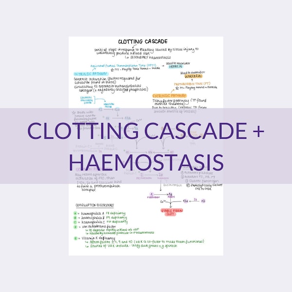 Clotting Cascade + Haemostasis Cheat Sheet | Handwritten Notes