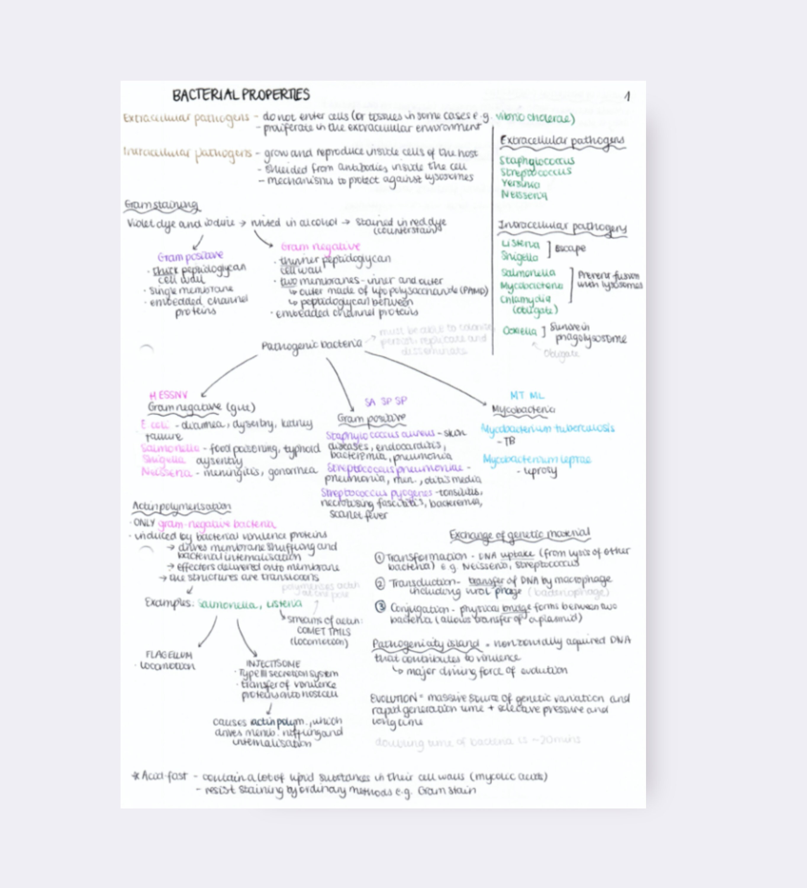 Microbiology Basics Medical School Study Guide | Handwritten Notes - Etsy