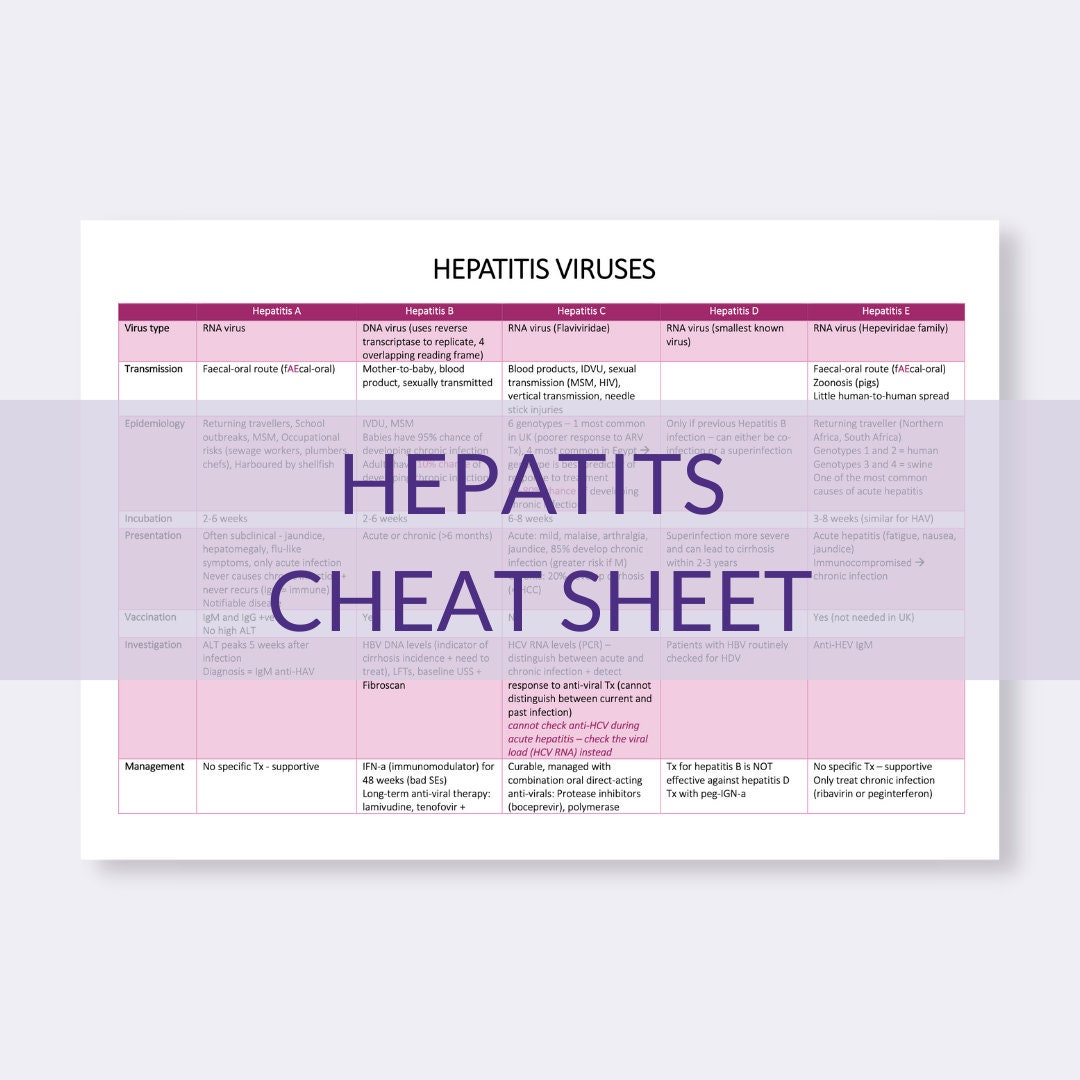 Hepatitis Viruses Cheat Sheet Etsy