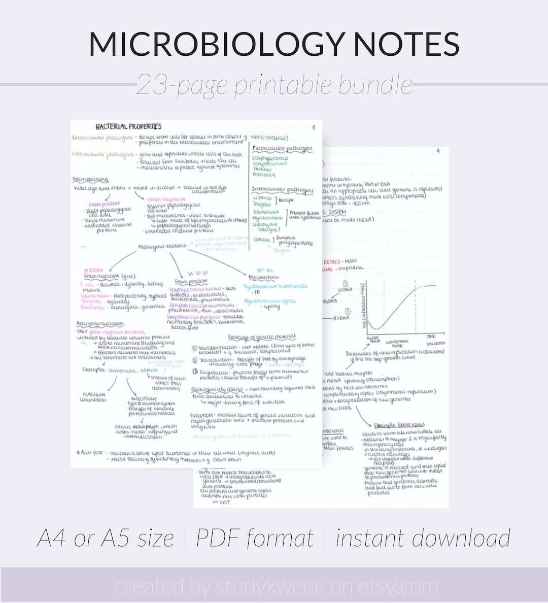 Microbiology Basics Medical School Study Guide Handwritten Notes - Etsy