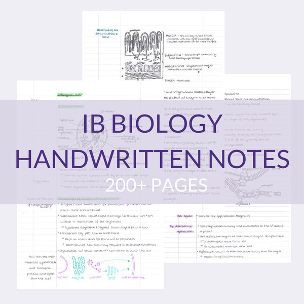 IB Biologie Notizen SL und HL | Handschriftliche Überarbeitungsnotizen | Studienführer | Poster | Mind Maps