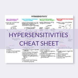 May include: A colorful infographic titled "Hypersensitivities Cheat Sheet" explains the four types of hypersensitivity reactions: Type I (Immediate, IgE-mediated, allergic), Type II (Antibody-mediated, cellular antigen), Type III (Immune complex mediated, soluble antigen), and Type IV (Cytotoxic, T-cell mediated, delayed). Each type is illustrated with a diagram and examples of diseases and conditions associated with each type.