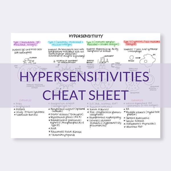 Hypersensitivity Reactions Viruses Cheat Sheet