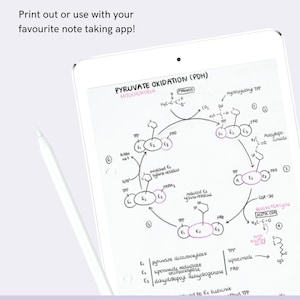 Microbiology Basics Medical School Study Guide | Handwritten Notes - Etsy