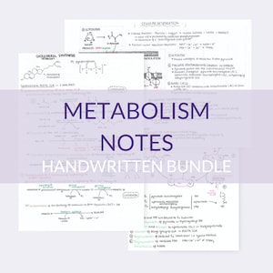 Guide d'étude de la faculté de médecine du métabolisme | Notes manuscrites