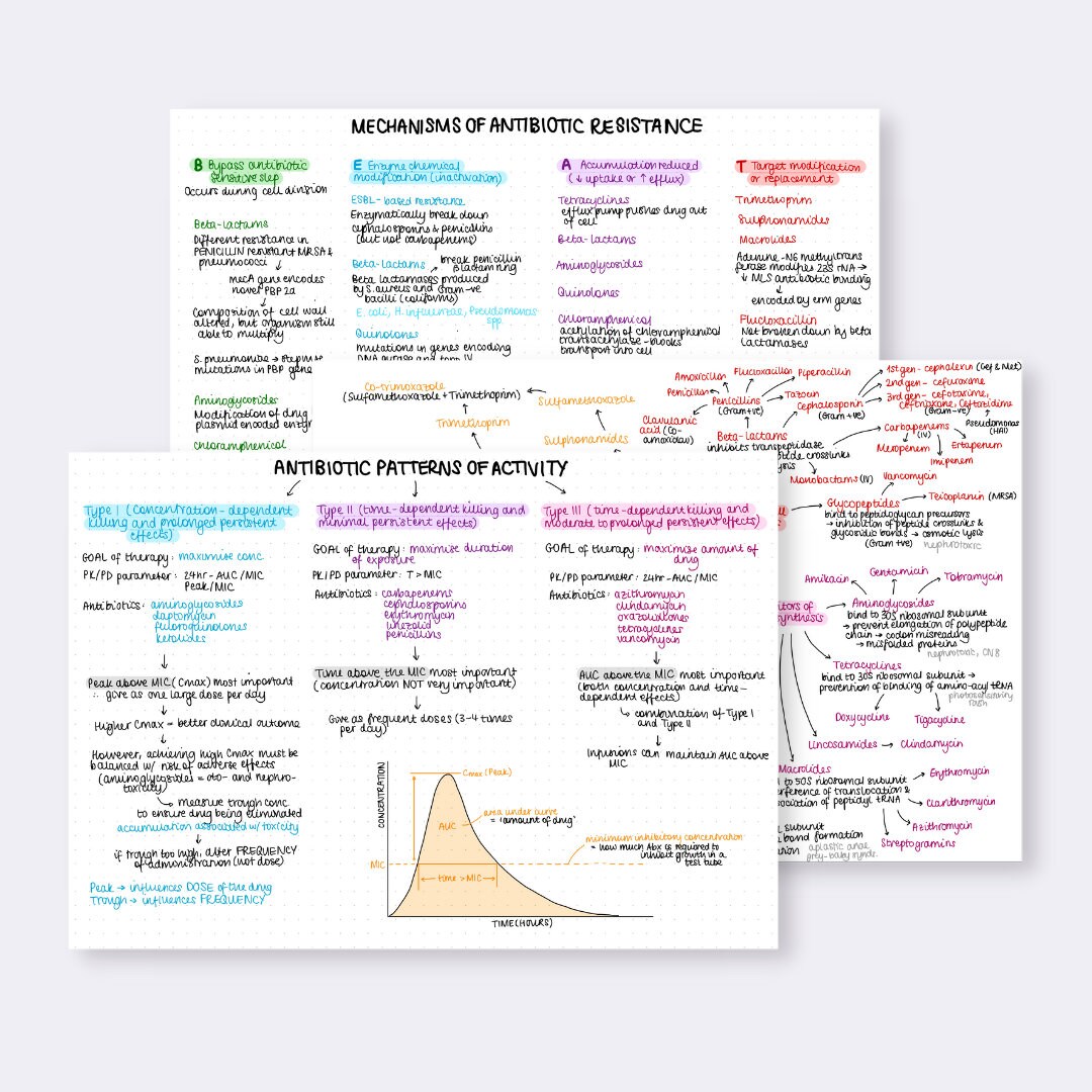 Bacteria and Antibiotics Cheat Sheet - Etsy Australia
