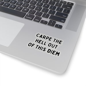 Funny sticker Carpe Diem Fun Sticker, college, teacher, sports gift, friend, computer sticker, birthday, laptop stickers, water bottle