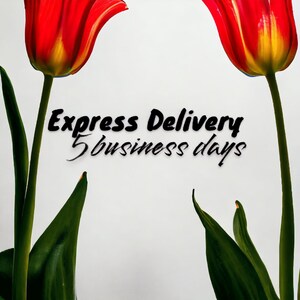 Upgrade to Express Delivery- 5 Business Days