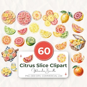 Può includere: Un pacchetto di clipart ad acquerello con 60 illustrazioni di fette di agrumi. L'immagine include limoni, lime, arance e pompelmi, interi e a fette. Il testo recita "Citrus Slice Clipart Watercolor Bundle".