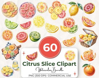 Pacchetto di 60 clipart di fette di agrumi, agrumi ad acquerello PNG, clipart di limone, arancia, lime e pompelmo, clipart di frutta estiva, uso commerciale
