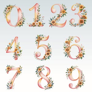 May include: Watercolor illustrations of the numbers 0 through 9. Each number is a gradient of pink and yellow, adorned with sunflowers, daisies, and green leaves. The floral arrangements add a decorative touch to the numerals.