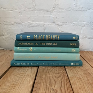 blue decorative book stack, blue shelf decor, blue home decor, coffee table books, prop books, coastal home decor, themed book bundle