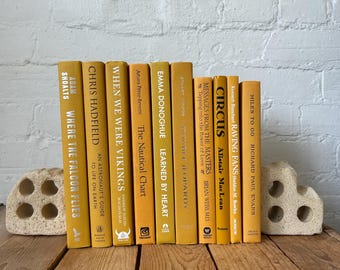 Yellow decorative staging books, Mustard yellow books for shelf styling, muted yellow accents and decor items, high end interior design idea
