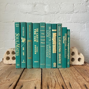 turquoise book stack for bookshelf styling, coastal interior decor idea, books for living room decor, airbnb guest room decor items