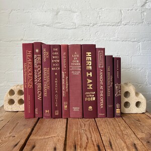 Ensemble de livres aux framboises, livres de décoration pour la mise en scène de la maison, décoration d'intérieur, livres d'accessoires pour le merchandising, décoration de chariot de bar, style d'étagère