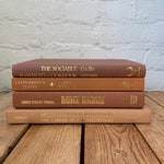 Rust Books
