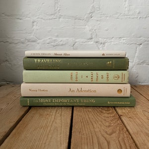 Earthy Staging Books , Stack of Styling Books, Aesthetic Book Bundle ...