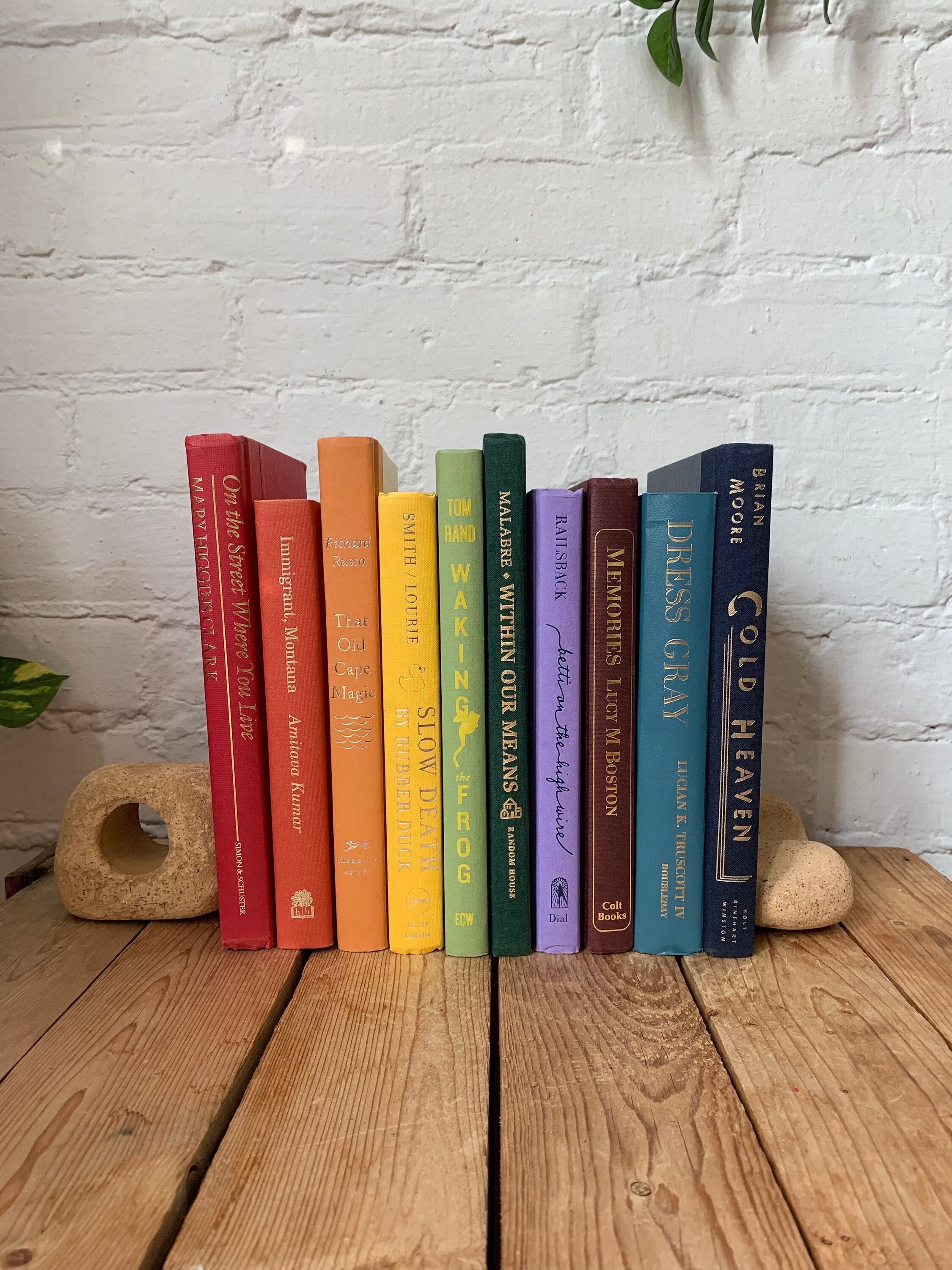 Rainbow staging books, bright rainbow home decor, kids room shelf styling, rainbow library book collection, colourful book decor, real books
