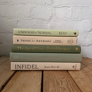 Peut inclure: Une pile de cinq livres avec des couvertures vertes et crème. Les titres sont "A New Kind of Normal", "Shoes for Anthony", "The Age of Hope", "Camino Island", et "Infidel".