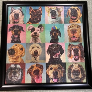 Framed jigsaw Puzzle of  Smiling Dogs