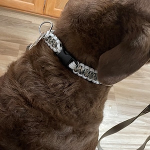 Paracord Dog Collar/durable/colorful/handmade/customizable