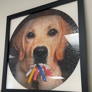 Completed/Framed Jig Saw Puzzle of Birthday  Lab