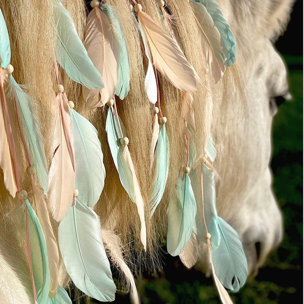 RainbowHorse mane jewelry feathers 'Indian Spirit'