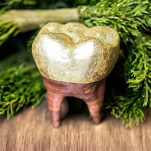 Gold Leaf Crowned Black Walnut Tooth Sculpture