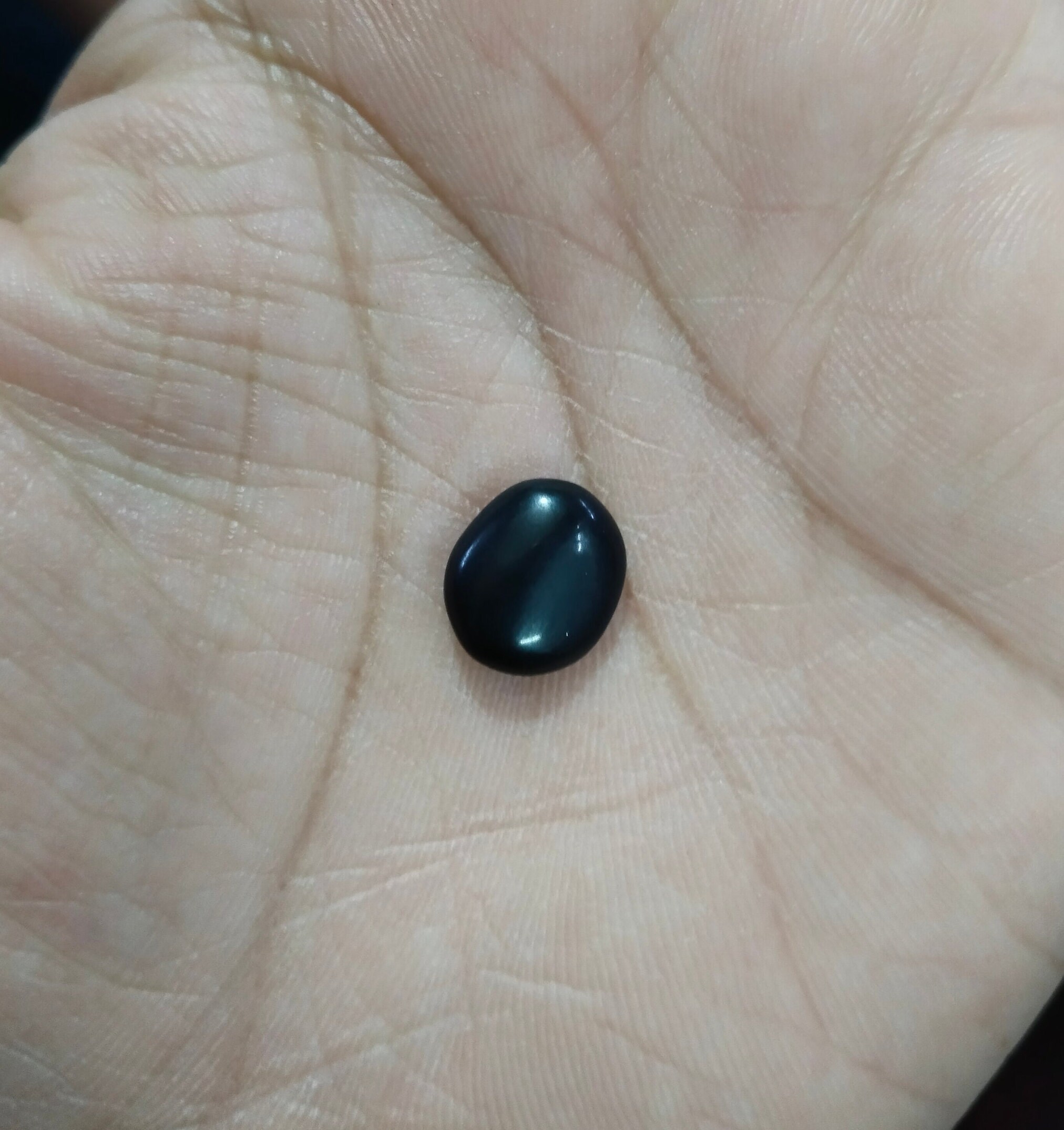 Stone Naag Mani Black Pearl Fortune Good Luck Blessings Positivity Limited  Stock - Etsy