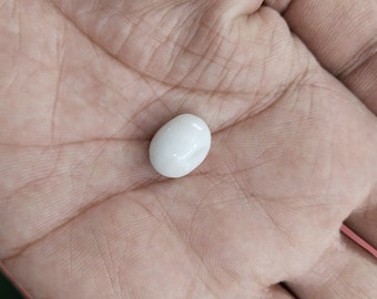 Stone Naag mani White Pearl Fortune Good Luck Blessings Positivity Limited Stock