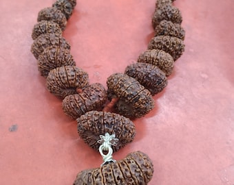 Indrakshi Mala Combination Of 1 To 21 Mukhi RUDRAKSHA Religious COLLECTIBLE