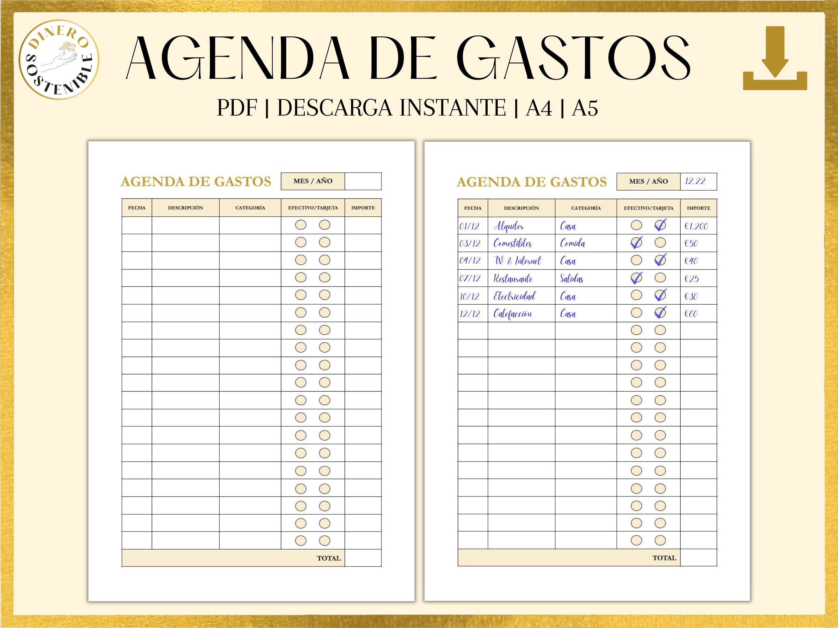 Plantilla De Gastos Pdf Printable Expense Diary Expense Tracker Instant Download - Etsy