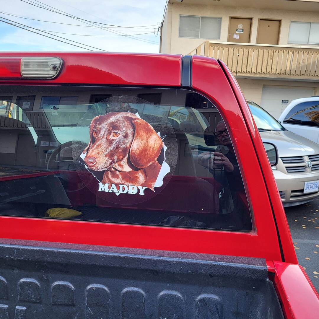 Custom Pet Sticker Using Your Pet Photo Custom Dog Sticker Custom Cat