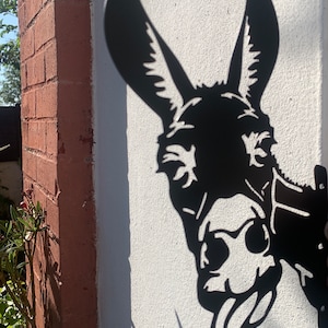 Iron silhouette of a donkey, garden decoration, fence, farm metal plaque
