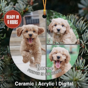 Personalized Loss Of Dog Ornaments, Forever In Our Hearts Pet Memorial Christmas Ornament, Cat Loss Picture Ornament Keepsake, Dog Ornament
