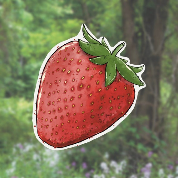 Strawberry Fruit Sticker Strawberry Fruit Sticker