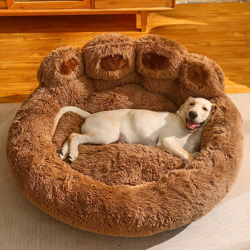 Learn 95+ about human dog bed australia latest NEC