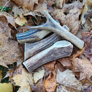 Chewing antlers for dogs and puppies, Deer Antler, Antler dog treats, Chews for dog, Bone for dog, Dog treats, Stick for dog, Pets feed