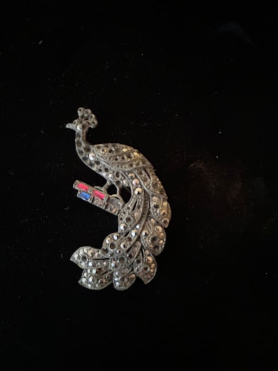 Neat Peacock Rhinestone broach - image 1