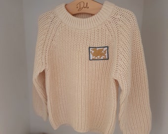 Wales Welsh Cream Jumper Kids