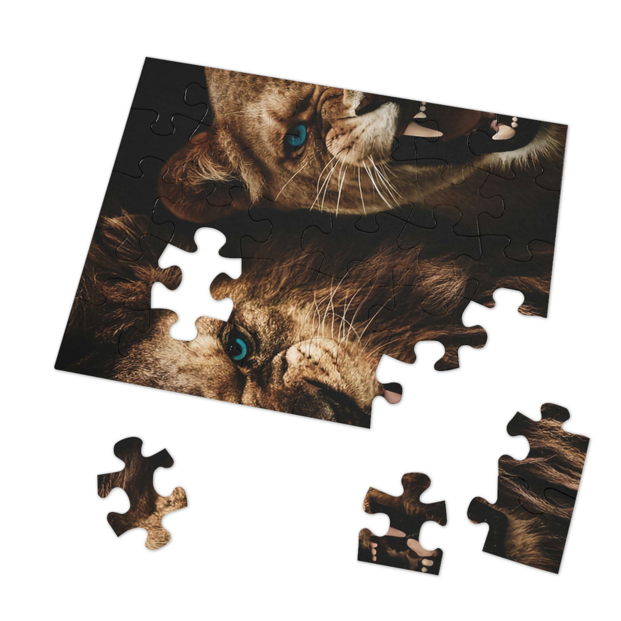 NEW Miniature Educa 1000 Piece Jigsaw Puzzle 46x30 CM 11874 Puzzle Passion  NIB
