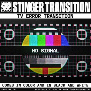 May include: A digital graphic featuring the text STINGER TRANSITION and TV ERROR TRANSITION above a television test pattern. The center displays NO SIGNAL in white text over a colorful segmented circle and a grayscale bar pattern with grid lines.